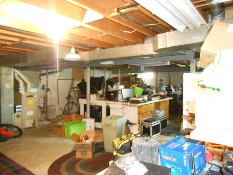 CotY Basement Remodel